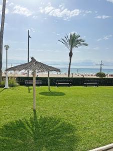a park with benches and a umbrella and a palm tree at Playa y montaña. 1ª linea. Piscina. Parking . A/C in El Campello
