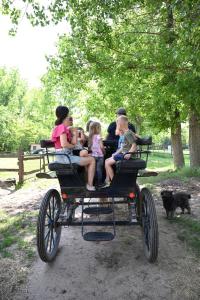 Imagen de la galería de Gidrán Major, en Újlengyel 48 fotos más