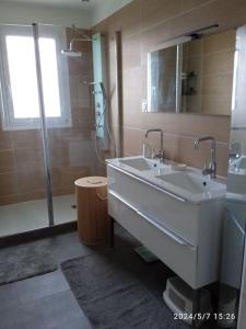 une salle de bain avec lavabo et douche dans l'établissement Charmante maison de ville climatisée avec Wifi, à Saint-Yrieix-la-Perche