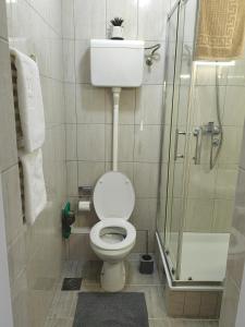 Koupelna v ubytování Orient Apartman