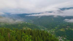 Paesaggio naturale nelle vicinanze di questo campeggio di lusso