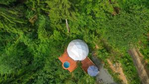 vista sul soffitto di una tenda nel mezzo di una foresta di Ajara Glamping Kokotauri a K'eda