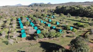 an overhead view of a group of trees in a field at Portal Beija-Flor in Alto Paraíso de Goiás