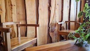 Fotografie z fotogalerie ubytování Alpes Hotel v destinaci Pucón