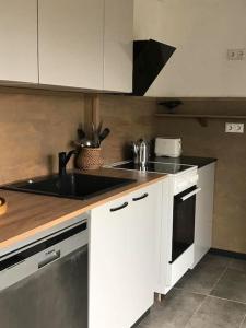 Kuchyň nebo kuchyňský kout v ubytování Aeru residence