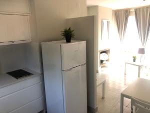 a white refrigerator in a kitchen with a plant on top at SunAndBed ATICO FARO in Salou