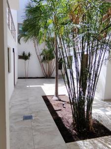 Fotografie z fotogalerie ubytování Hotel Lorimar v destinaci La Paz