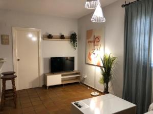 TV a/nebo společenská místnost v ubytování Apartamentos Atalayas Extremadura