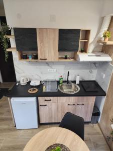 Kuchyňa alebo kuchynka v ubytovaní Studio Planinski san Divčibare
