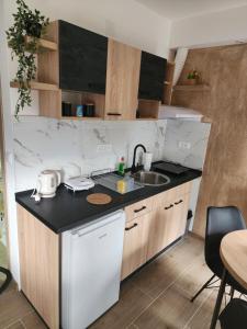 Kuchyňa alebo kuchynka v ubytovaní Studio Planinski san Divčibare