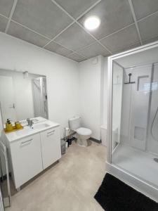 ein Badezimmer mit Dusche, Waschbecken und Toilette in der Unterkunft Appartement 2 moderne - centre in Alençon