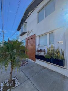 a house with a palm tree in front of it at Casa palmera in San Baltasar +24 photos