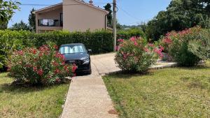 Ein Garten an der Unterkunft Gianna Apartment Labin
