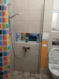 ein Bad mit einer Duschkabine und einem WC in der Unterkunft Center Walk Studios in Bukarest + 59 Fotos
