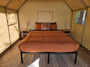 Ένα ή περισσότερα κρεβάτια σε δωμάτιο στο Zest Campers Ltd