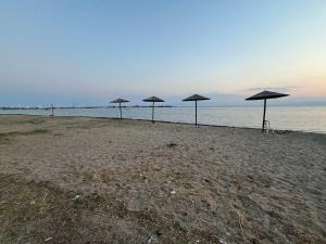 a row of umbrellas on a beach with the ocean at Sofita garden in Nea Michaniona