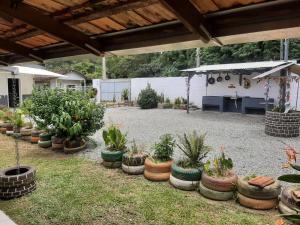 a group of potted plants in a yard at Vivendas do Trabalhador in São Francisco do Sul
