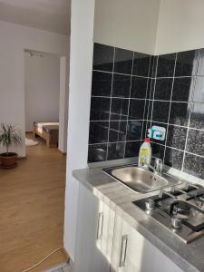 Foto dalla galleria di Studio Cristina a Hunedoara