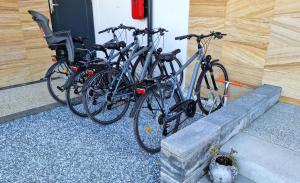 Jazda na bicykli v okolí ubytovania Wytworna Foczka