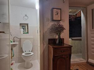 a bathroom with a toilet and a sink at Kuća za odmor Arija in Novi Vinodolski +8 photos