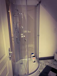 a shower with a glass door in a bathroom at CHAMBRE et JARDIN Village au bord de l eau Cour et Garage privés in Marcilly-sur-Seine