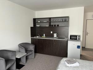 Kuchyň nebo kuchyňský kout v ubytování Apartmány Plzeň Zborovská 22 a