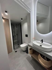 a bathroom with a sink and a toilet and a mirror at Kepesis Apartment in Agioi Theodoroi
