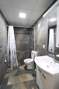 Ένα μπάνιο στο Dunavska Vila Milosavljevic +50 φωτογραφίες