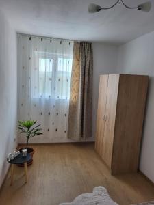 a living room with a cabinet and a potted plant at Studio Cristina in Hunedoara