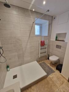 a bathroom with a toilet and a glass wall at Logement privé avec terrasse in Chanonat