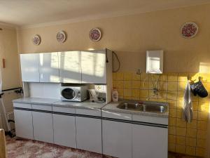 a kitchen with a sink and a microwave at Chalupa u Mráze in Chodská Lhota