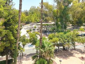 z góry widok na park z palmami w obiekcie Murcia a tus pies III, centro w Murcji