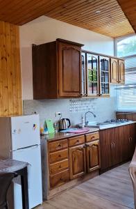 Kuchyň nebo kuchyňský kout v ubytování Dream House