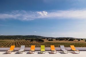 a row of chairs with a view of a vineyard at Monte do Melo in Montemor-o-Novo