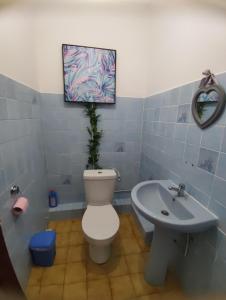 ポワント・ノワールにあるLocation Hibiscusのトイレと洗面台付きのバスルーム +24枚の写真