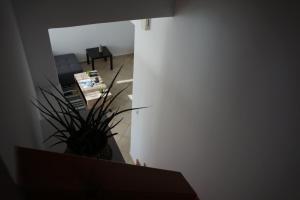 Kuchyň nebo kuchyňský kout v ubytování Yapyli Home