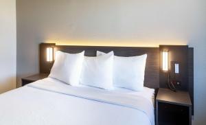 Postel nebo postele na pokoji v ubytování Motel 6-Del Rio, TX