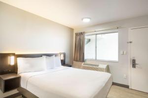 Postel nebo postele na pokoji v ubytování Motel 6-Del Rio, TX