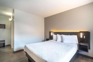 Postel nebo postele na pokoji v ubytování Motel 6-Del Rio, TX