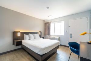 Postel nebo postele na pokoji v ubytování Motel 6-Del Rio, TX