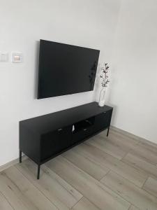Televízia a/alebo spoločenská miestnosť v ubytovaní Villa Lucia