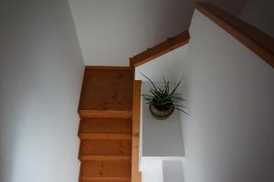 Fotografie z fotogalerie ubytování Yapyli Home v destinaci (( Kermetés ))