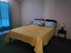 ScrantonにあるA rest after a day in the Death Valley desertのベッドルーム1室(大型ベッド1台、枕2つ付)