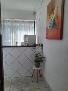 a potted plant sitting on a table in a room at Hotel Shangai in Mogi das Cruzes