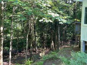 Φωτογραφία από το άλμπουμ του The Amazing Escape σε Manistee