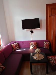 TV a/nebo společenská místnost v ubytování Apartment and rooms"Tabašnice"Tuzla centar