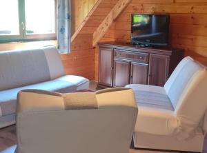 Televízia a/alebo spoločenská miestnosť v ubytovaní Apartments Plitvice forest