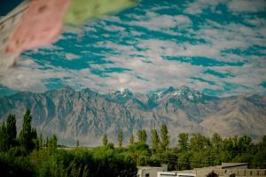 Gallery image of Sumoor Lodge in Nubra