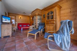 TV a/nebo společenská místnost v ubytování Chalet la Forestière