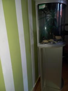 Fotografie z fotogalerie ubytování EQUATOR GATES HOTEL Bulenga v destinaci Bulenga
